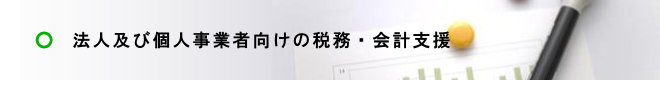 法人及び個人事業者向けの税務・会計支援